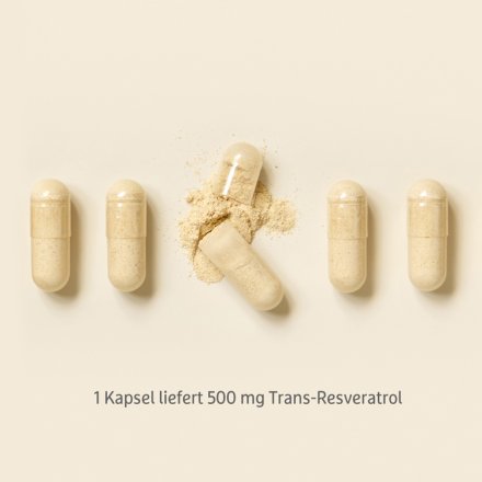 Resveratrol - 60 Kapseln