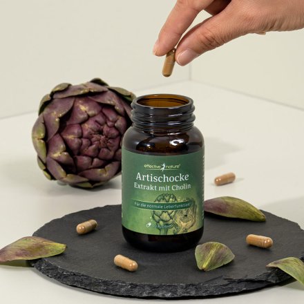 Artichoke extract with choline - for normal liver function