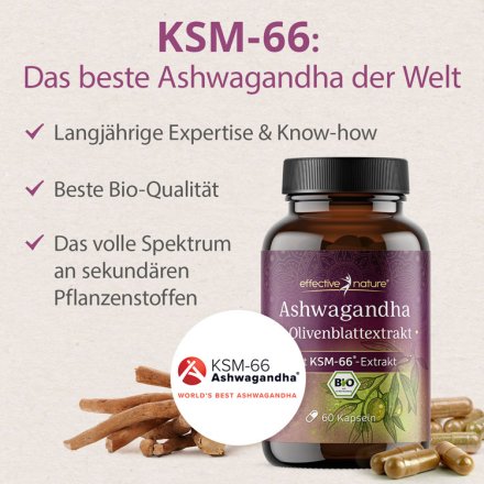 Ashwagandha- & Olivenblattextrakt Kapseln - Bio