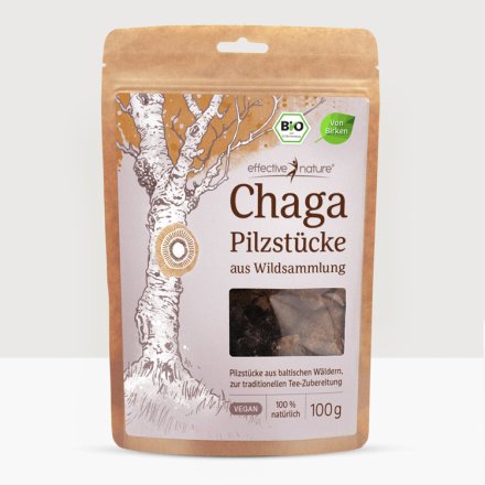 Chaga - der Teepilz in Bio-Qualität