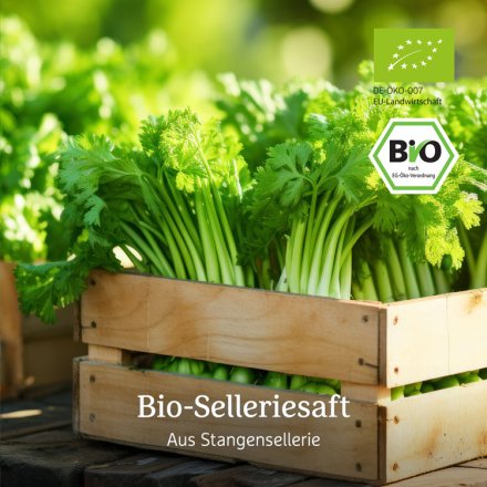 Selleriesaft - Bio - 0.75 Liter