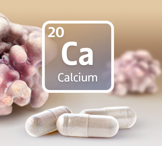 Die Rotalge ist eine beeindruckende Calcium-Quelle 