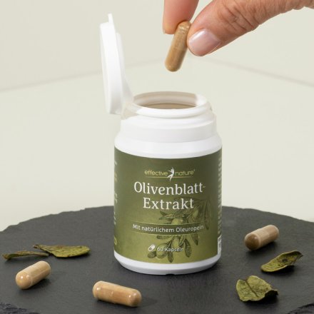 Hochwertiger Olivenblattextrakt in Kapseln