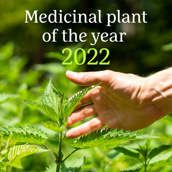 Medicinal plant of the year 2022