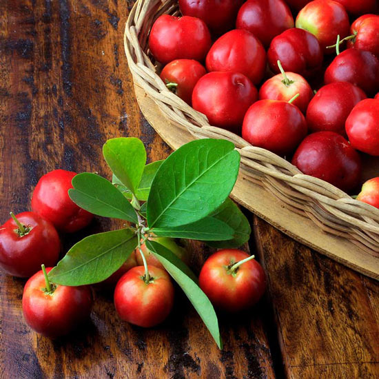 Acerola Cherry