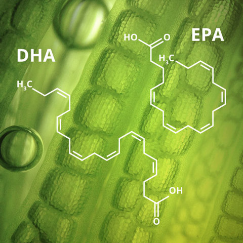 Omega-3: DHA und EPA Omega-3: DHA und EPA