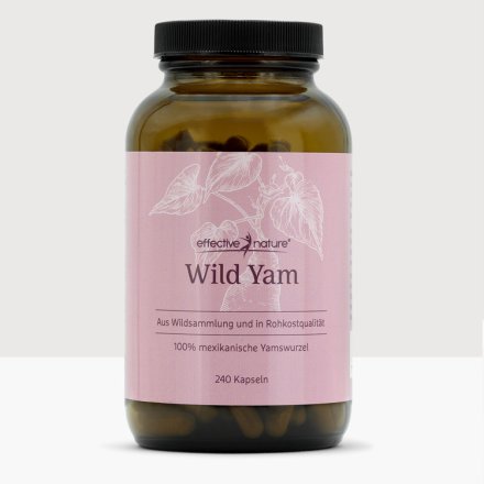 Mexican Wild Yam
