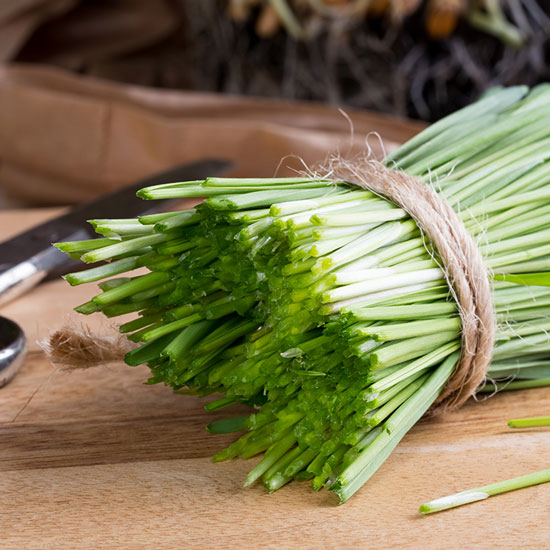 Barley grass