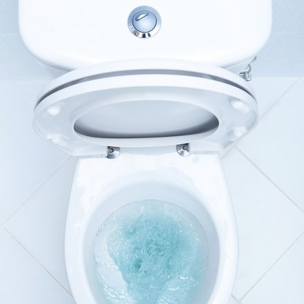 WC-Reiniger Zeder-Citronella