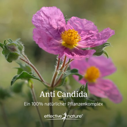 Anti Candida