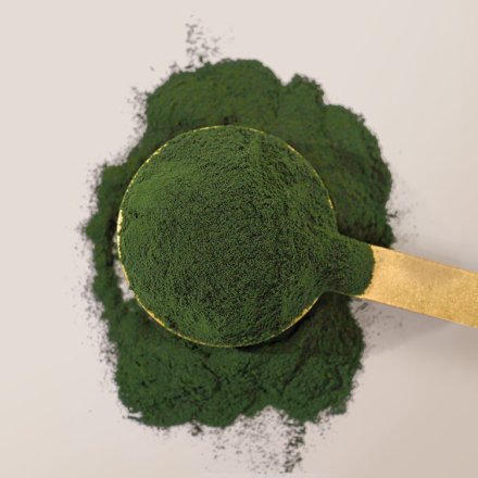 Chlorella Pulver Bio