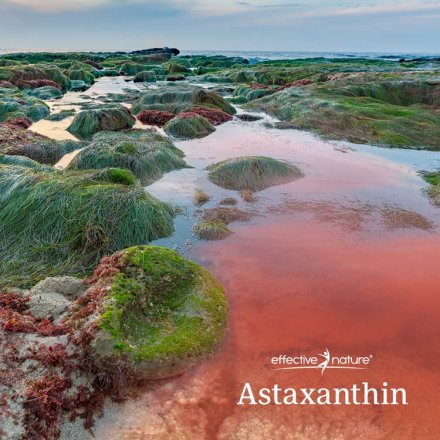 Astaxanthin 12 mg + Vitamin E Tropfen - 50 ml