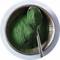 Chlorella