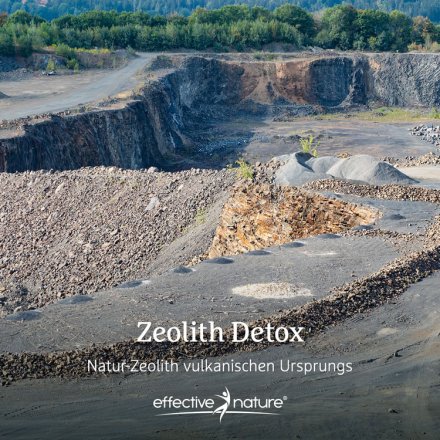 Zeolith Detox Pulver