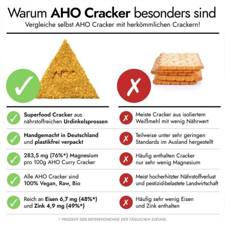 AHO Curry Cracker - Bio - 100g