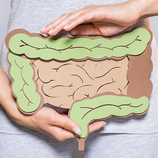 intestinal health intestinal health