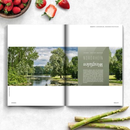 Foodscout 10