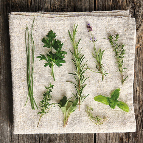 Different plants on a linen towel