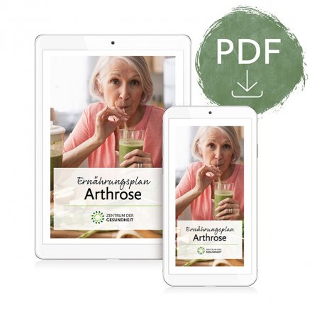 Ernährungsplan Arthrose - digital
