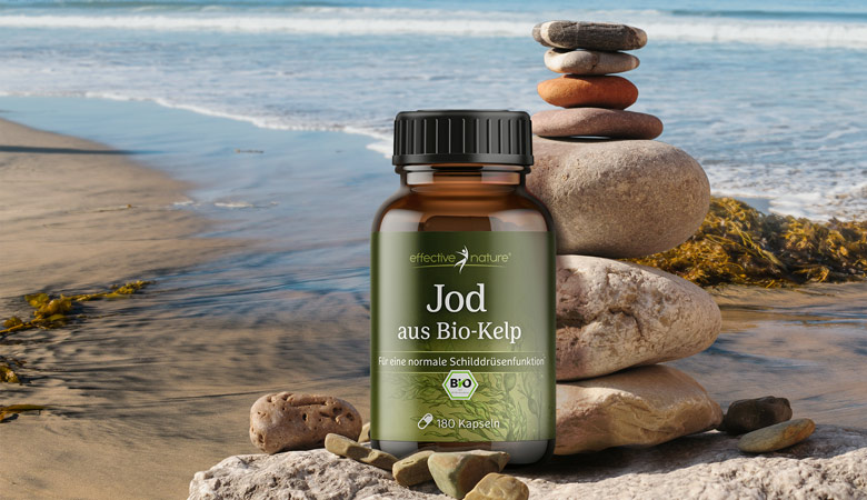 Bio-Kelp von effective nature