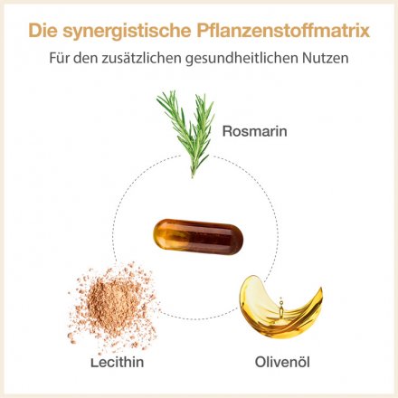 Gingerin Plus – der Bio-Extrakt aus Ingwer