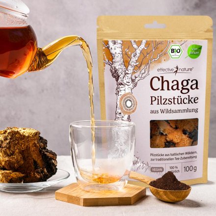 Chaga - der Teepilz in Bio-Qualität