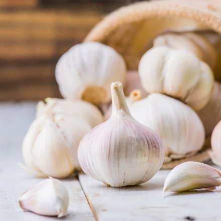 Bio-Knoblauch