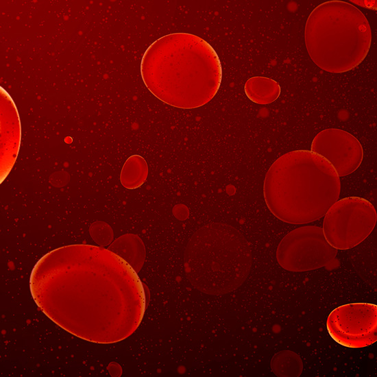 Eisen zur Bildung roter Blutkörperchen