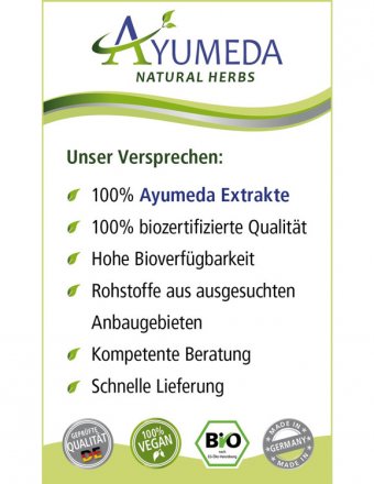 Konzentrierter Bio-Moringa-Extrakt in Kapseln