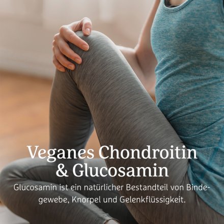 Glucosamin & veganes Chondroitin