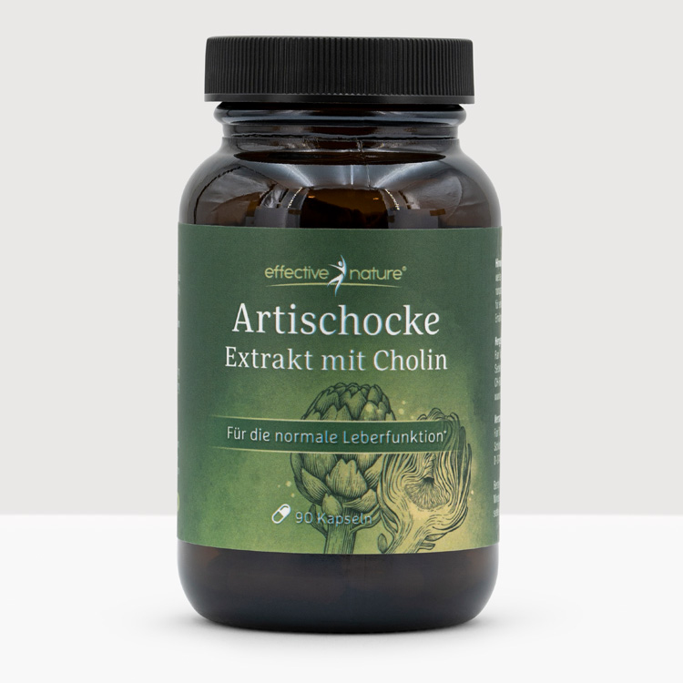 Artischocke Artischocke