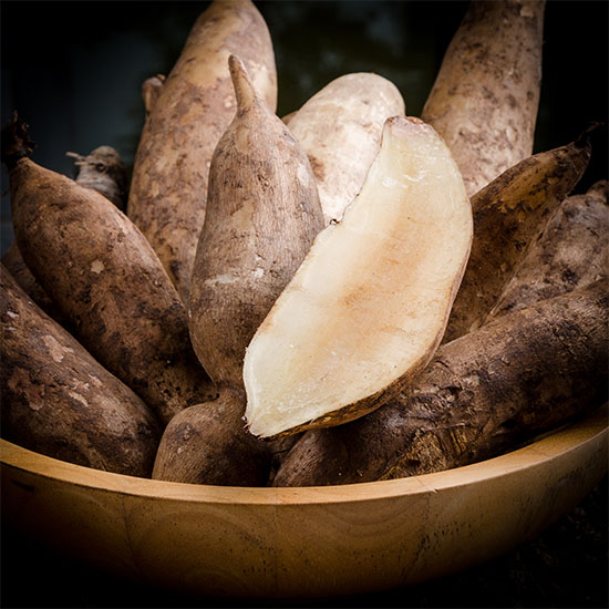 Yacon roots in a bowl, one cut in half