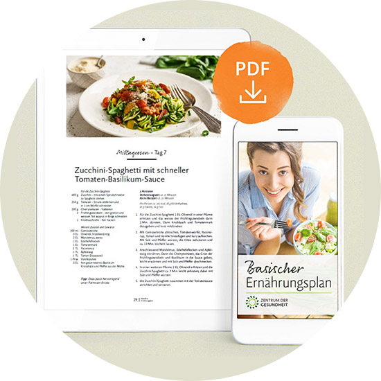 Basischer Ernährungsplan als PDF zum Download