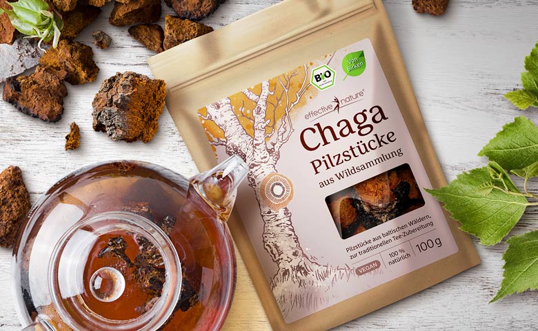 Chaga Pilz Header