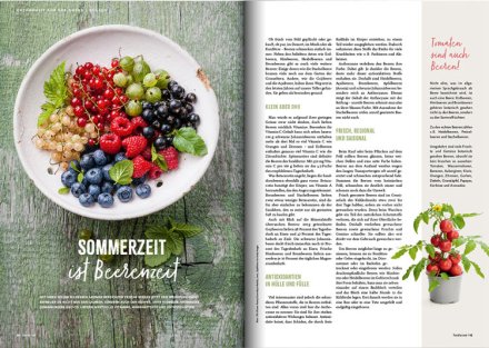 Foodscout 11