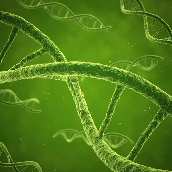 DNA-Spirale