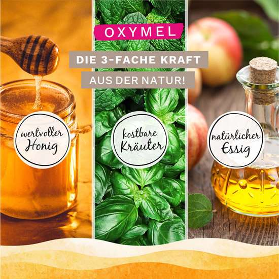Dreifache Naturkraft im Oxymel Honig, Kräuter und Essig