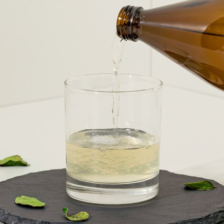 Aloe Vera Direct Juice - Organic - 1 Liter