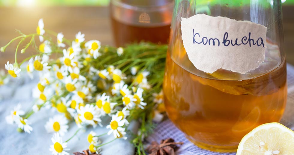 Kombucha Kombucha