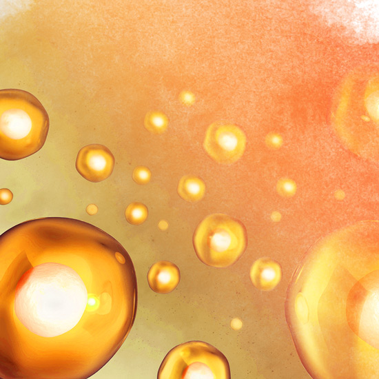 Orange background with body cells