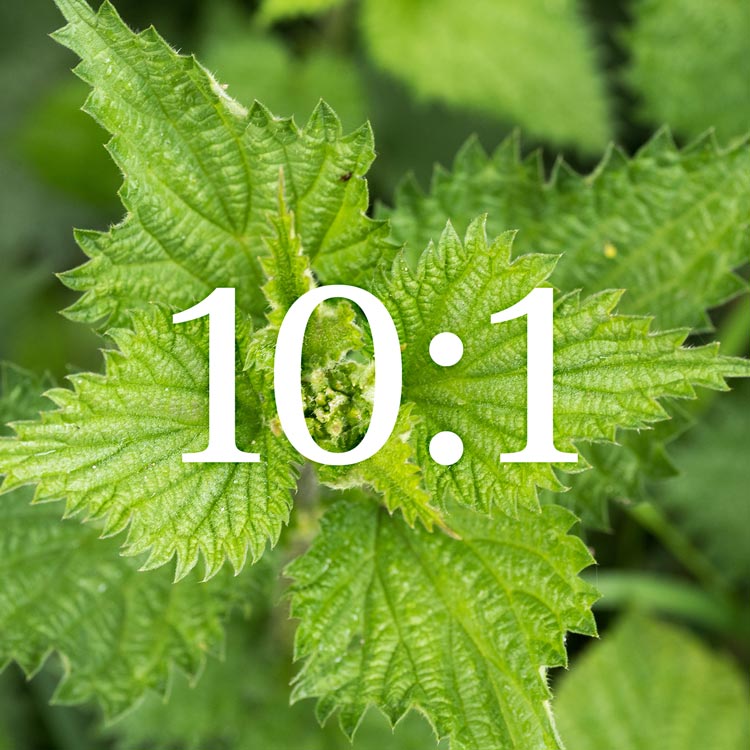 10:1 extract ratio