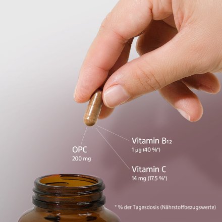 OPC+ Vitamin C und B12