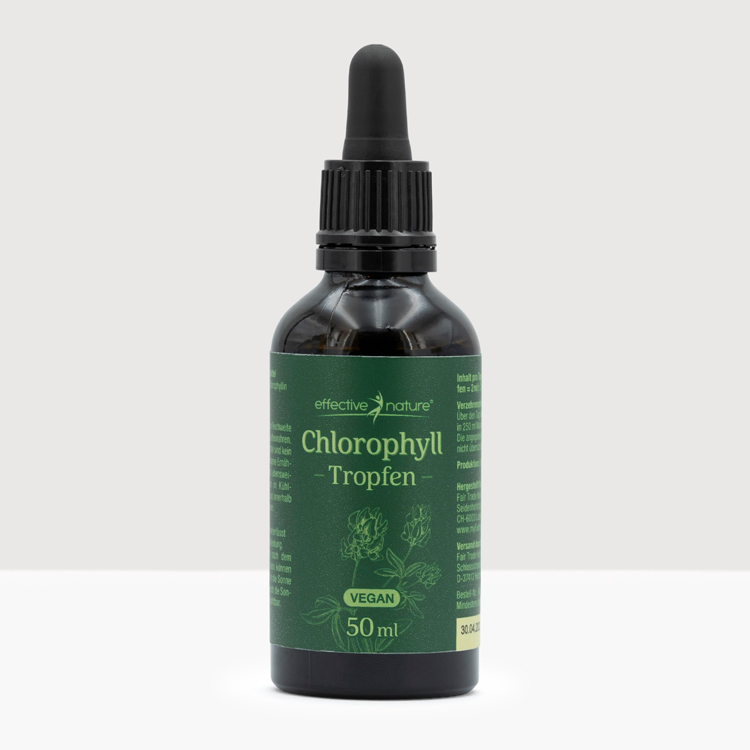 Chlorophyll Chlorophyll