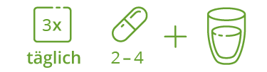 Dreimal täglich 2-4 Kapseln 
