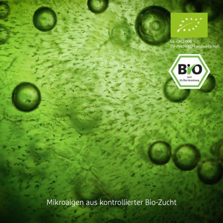 Chlorella & Spirulina - der Bio-Mikroalgenmix