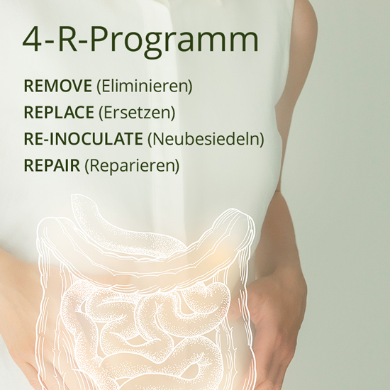 Das 4R-Darmprogramm