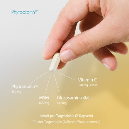 MSM mit Glucosamin und Phytodroitin™