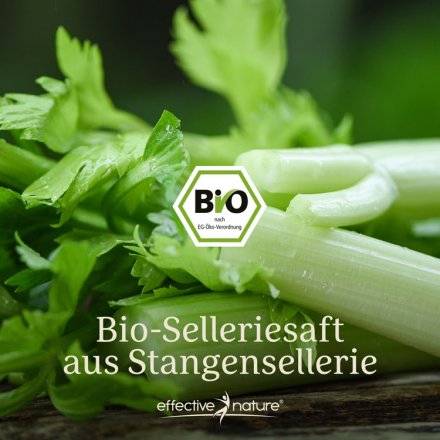 Bio-Selleriesaft aus Stangensellerie