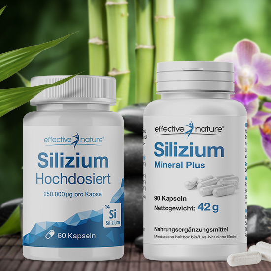Natürliches Silizium aus Bambus Silizum hochdosiert und Silizium Mineral Plus vor Bambus Hintergrund