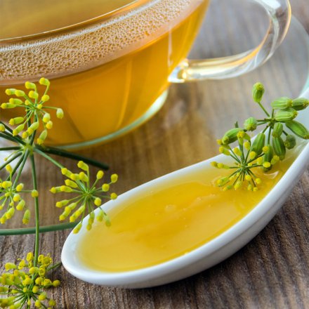 Fenchel Honig für Kinder - 250g